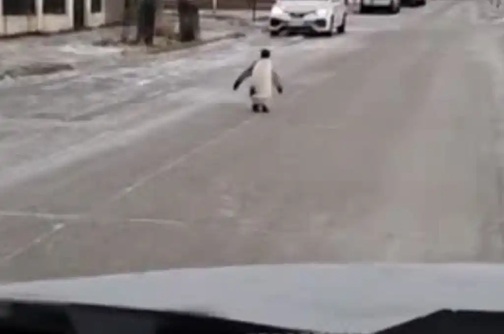 Foto: captura de video