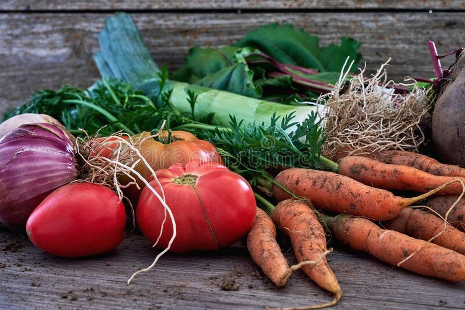 HUERTA DOMICILIARIA:  Ventajas de producir nuestros propios alimentos, cómo consumirlos y conservarlos