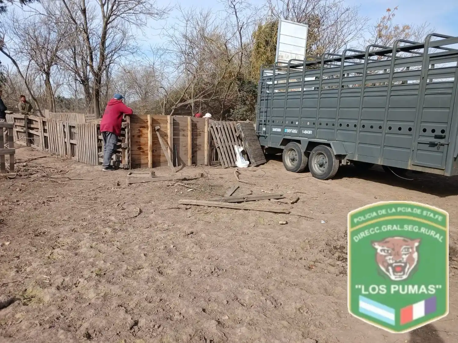 Triquinosis: intervinieron un criadero de cerdos santafesino y retiraron todos los animales tras confirmar casos