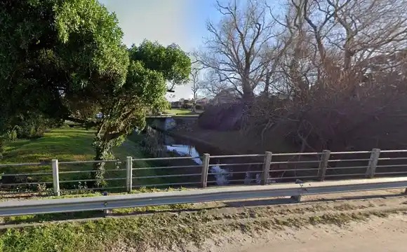 Proyecto Explanada la Reserva: "Un conjunto de impactos ambientales y sociales que no benefician a la ciudad"