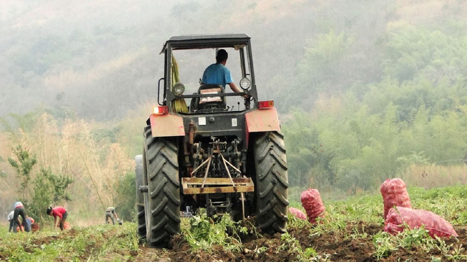 Mujer falleció al ser arrollada por un tractor en Yaracuy