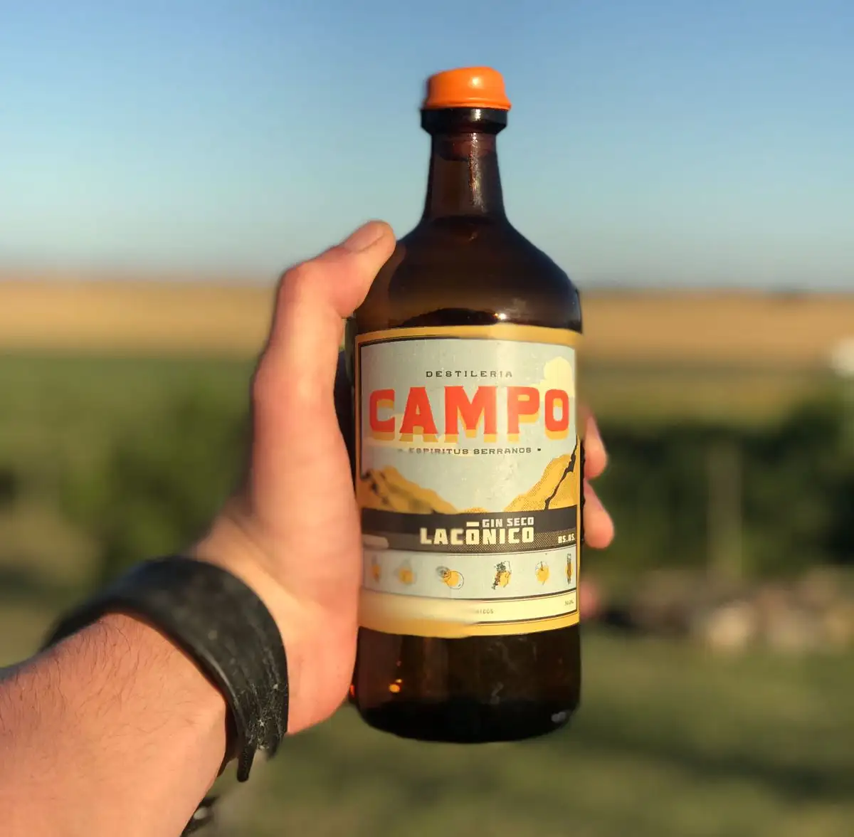campo 2