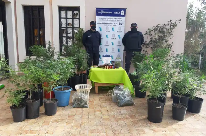 Buenos vecinos: amenazas, disparos y marihuana
