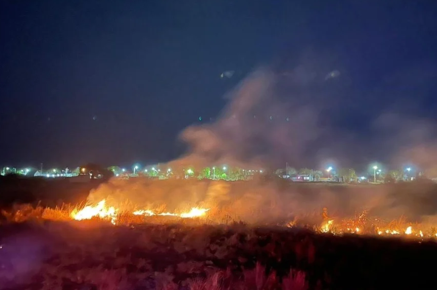 imagen Reconquista: los bomberos están en alerta permanente por los múltiples incendios de pastizales