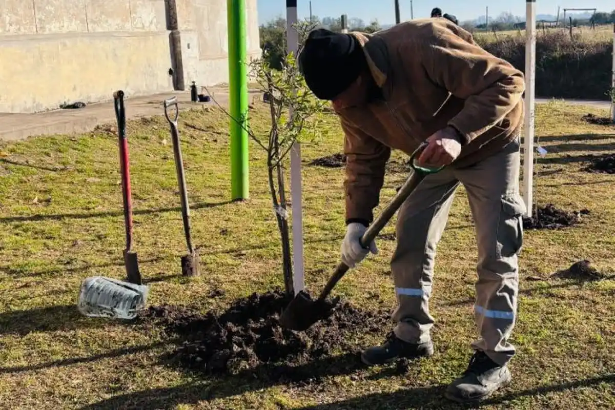 Plantaron árboles nativos en el Cementerio Norte para fortalecer los corredores verdes de la ciudad