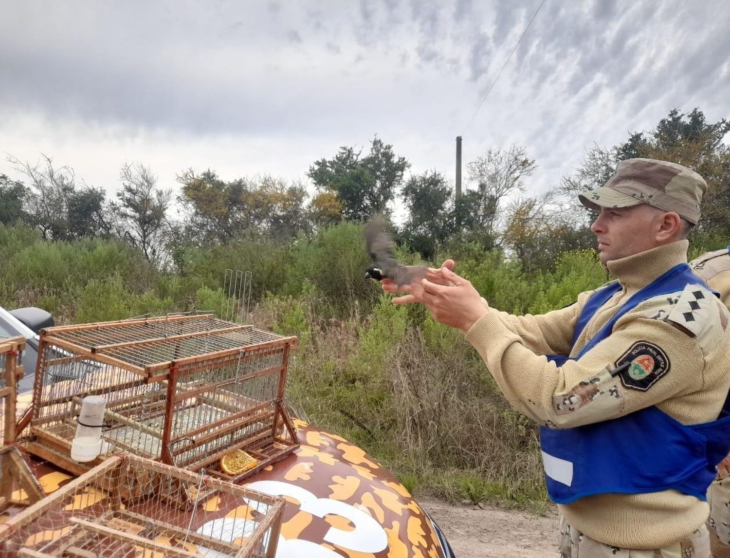 La Brigada de Abigeato libró infracciones a las leyes de caza y liberó aves autóctonas