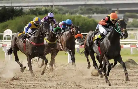 Jueves 3: Actividad Hipódromo de Palermo