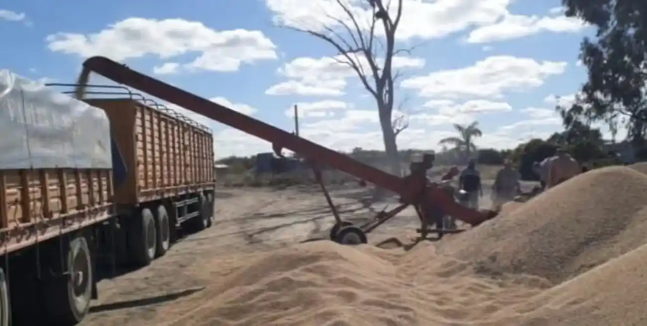 El hecho fue caratulado como tentativa de hurto y usurpación.