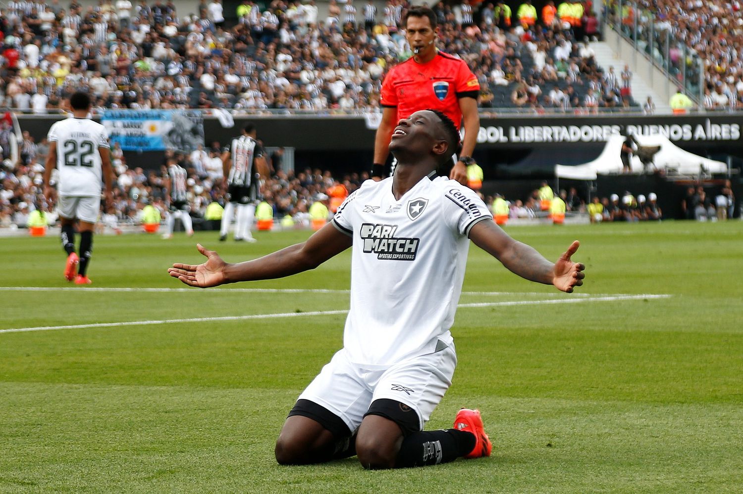 Botafogo campeón de la Copa Libertadores