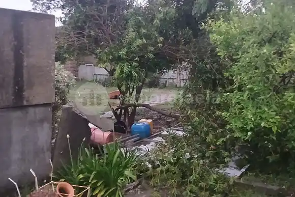 Cortes de energía, ramas caídas y columnas tumbadas en plena tormenta de la madrugada