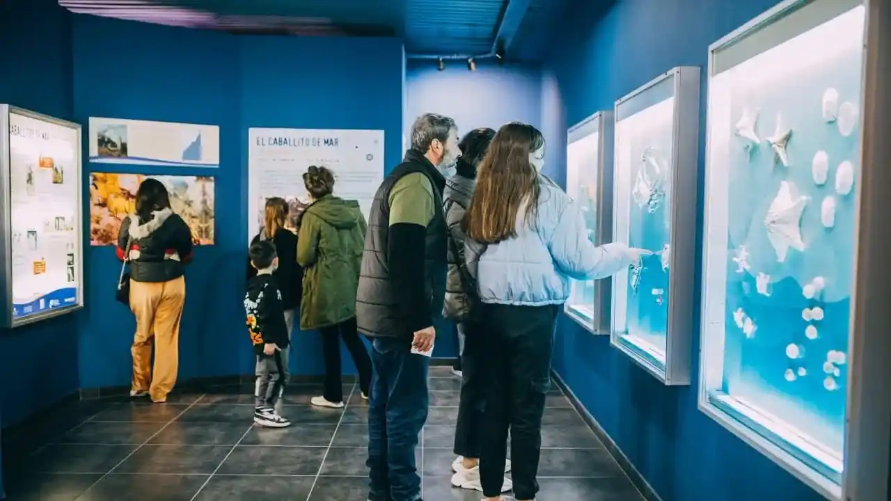 Ubicado en avenida Libertad 3099, en Plaza España, el museo continúa desarrollando acciones orientadas a la conservación del patrimonio natural.