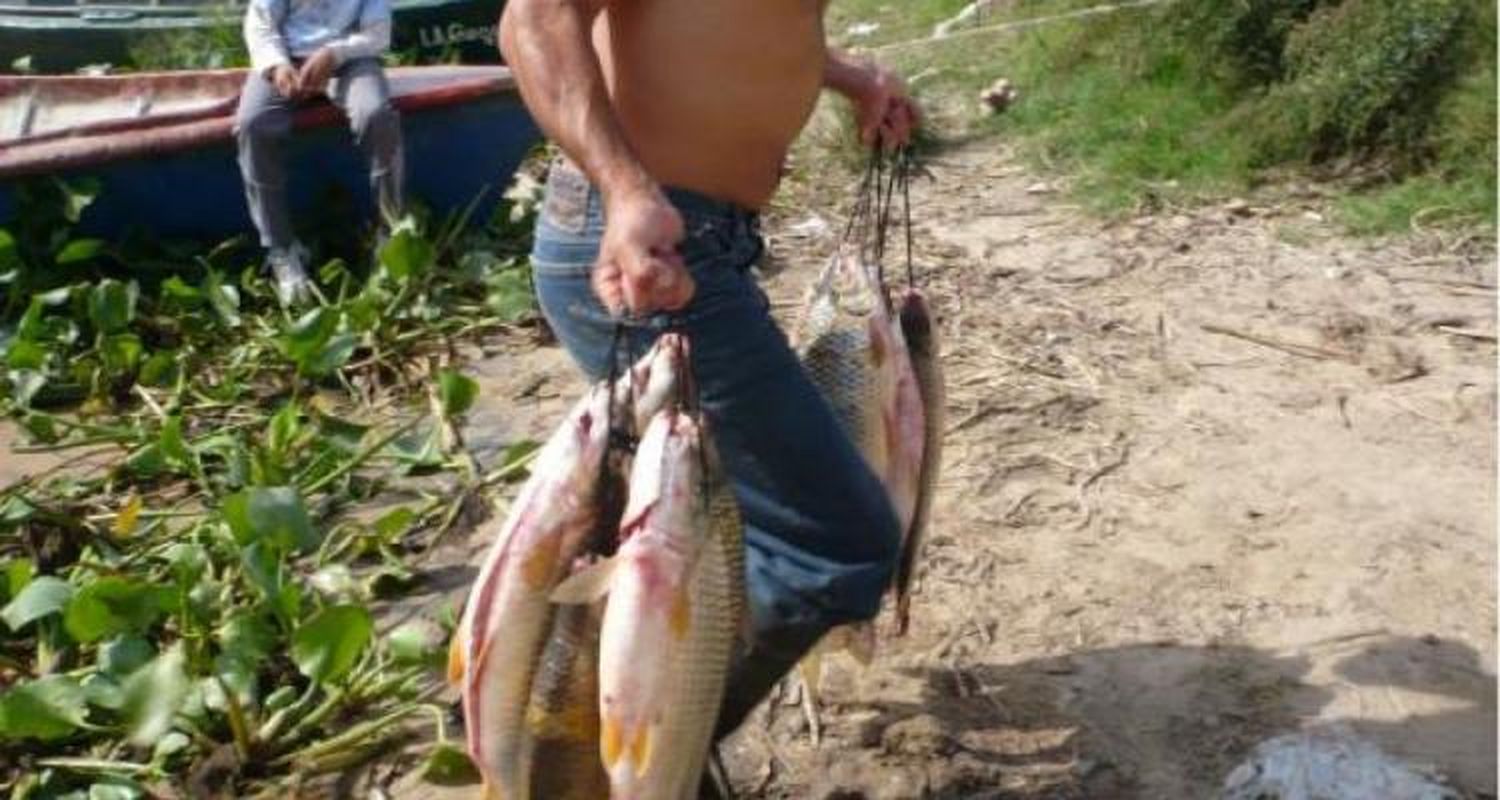 La Federal pesca sin anzuelo y para moscas