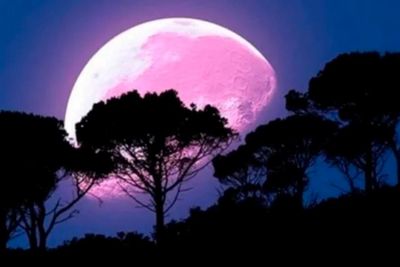 Llega la Luna Rosa: cuándo se verá y el origen de su nombre