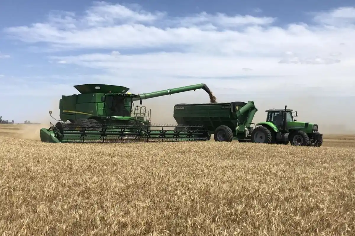 Las condiciones climáticas recientes y las expectativas para la campaña 2024/2025 serán clave para ajustar las estrategias.