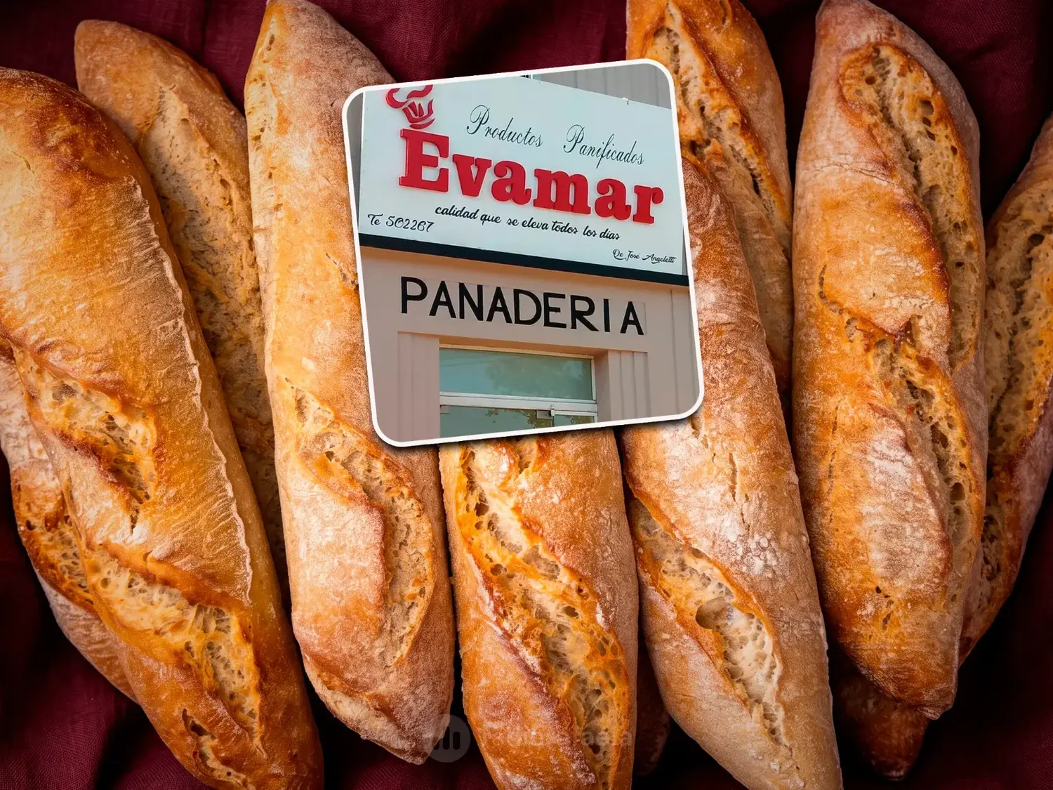 Día Mundial del Pan: cómo cambió el consumo en Rafaela y cuánto cuesta el kilo