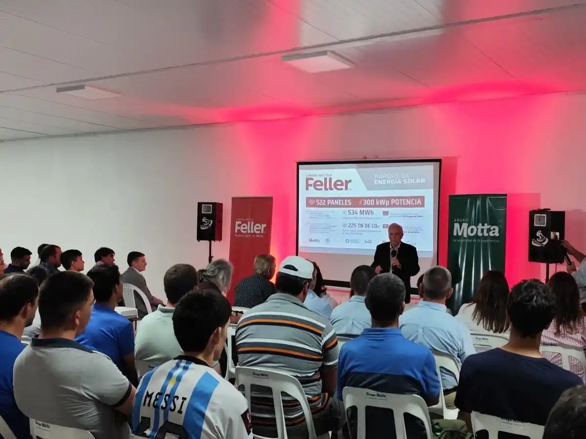 imponente parque solar de Cobise 2