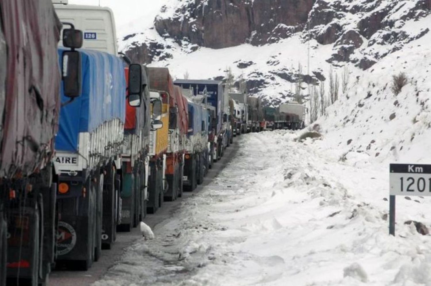 Por las nevadas en la cordillera, anunciaron el cierre del Paso Cristo Redentor