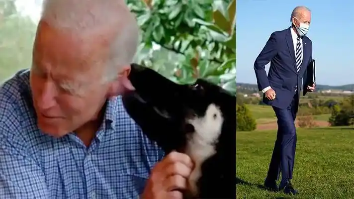 Biden sufrió una fractura en el pie jugando con su perro