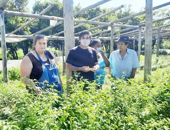 Desarrollo productivo: acompañamiento del municipio a los productores locales