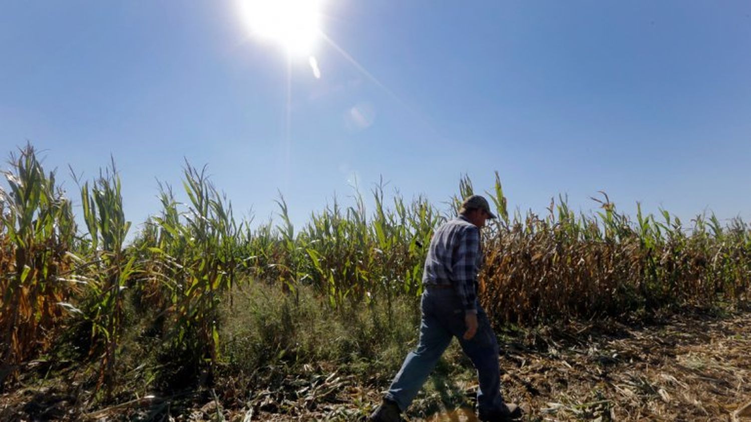 Latinoamérica tira a la basura 80 millones de toneladas de alimentos por año