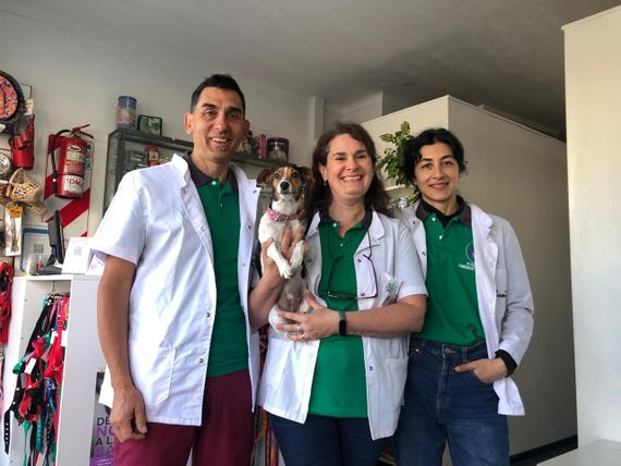 Veterinarios cannábicos de Tandil: Tratan animales con aceites y buscan ser parte del Reprocann