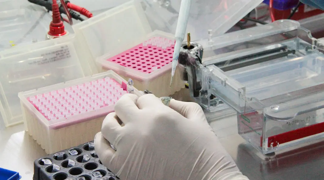 Coronavirus: confirman 41 nuevos casos