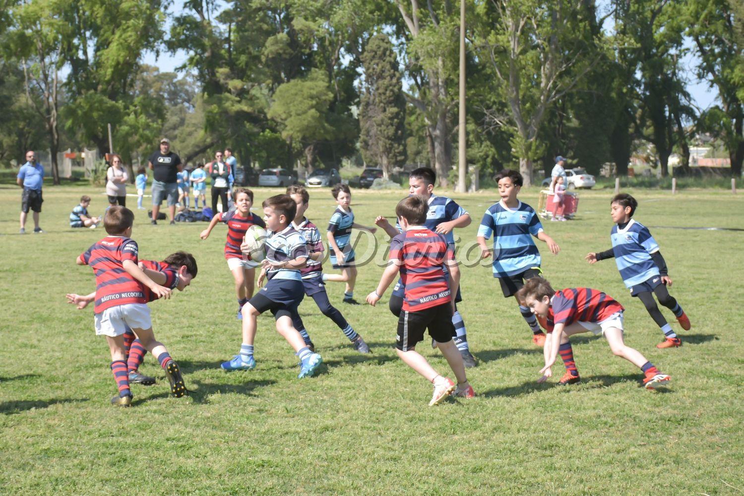 Encuentro de infantiles en el Club Náutico 5