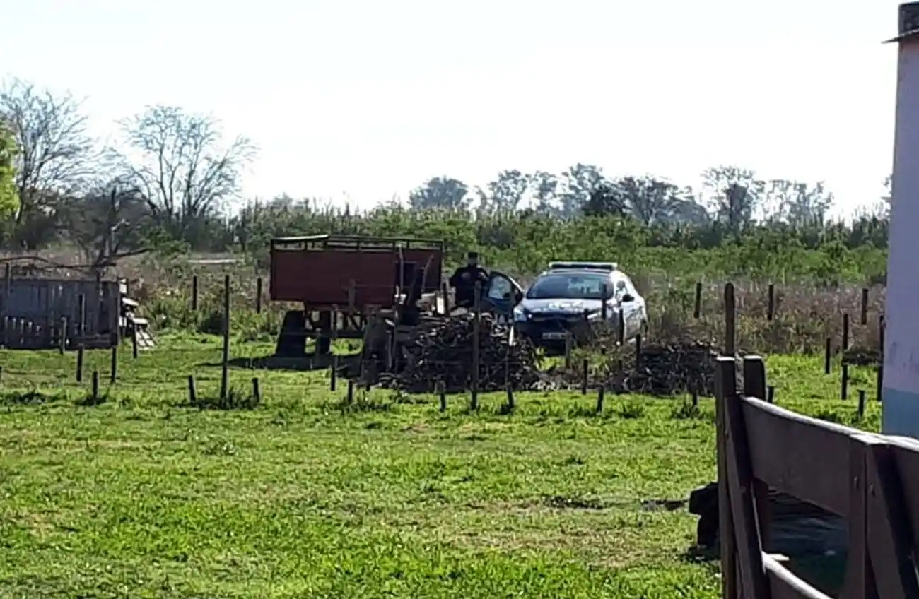 Confirmaron que Diego Román murió a causa de la acción de animales