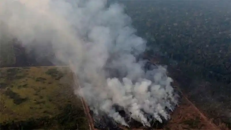 El humo de los incendios en el Amazonas llegaría a Santa Fe