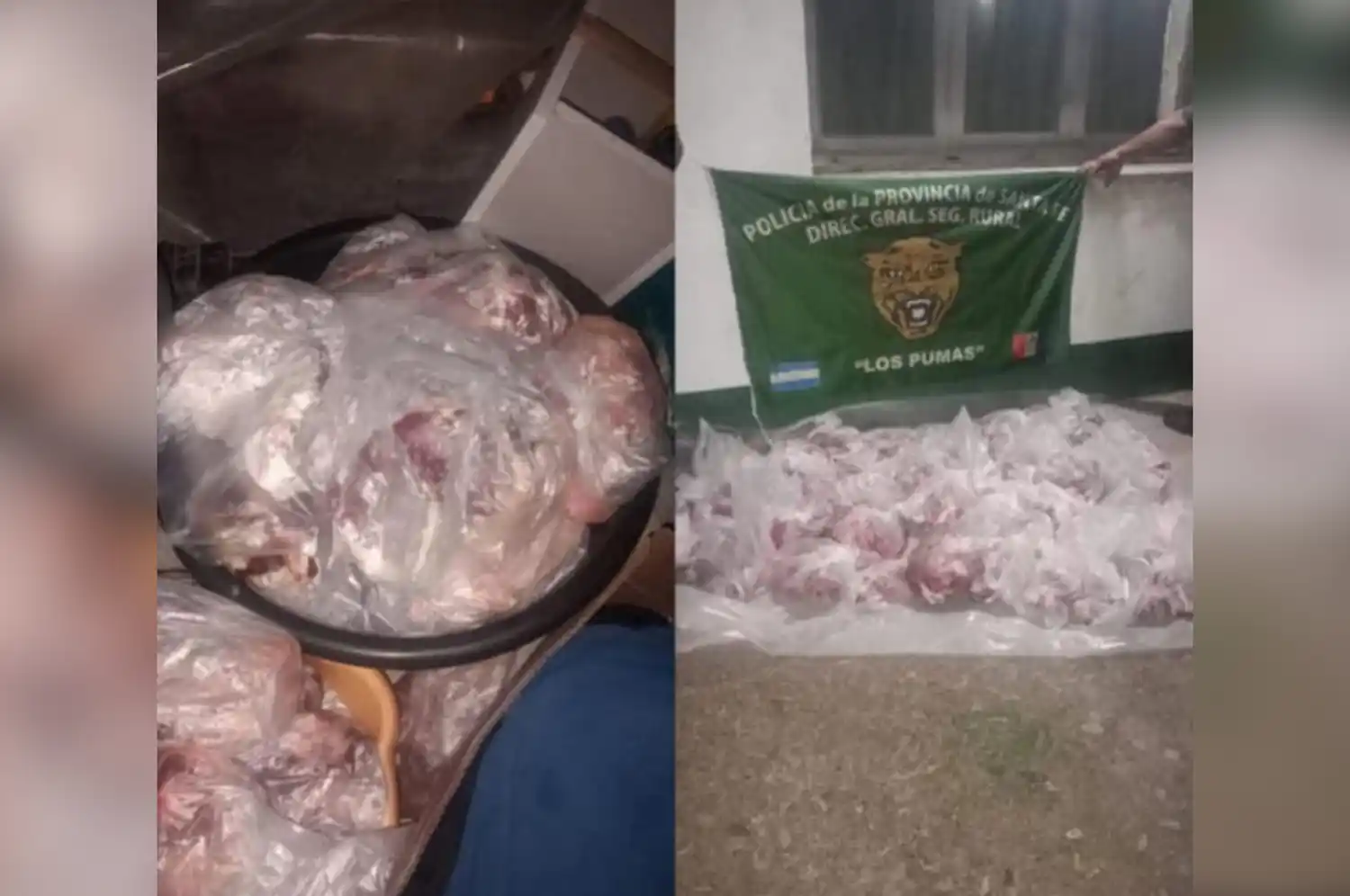 Faenamiento sin autorización: secuestraron carne transportada sin documentación