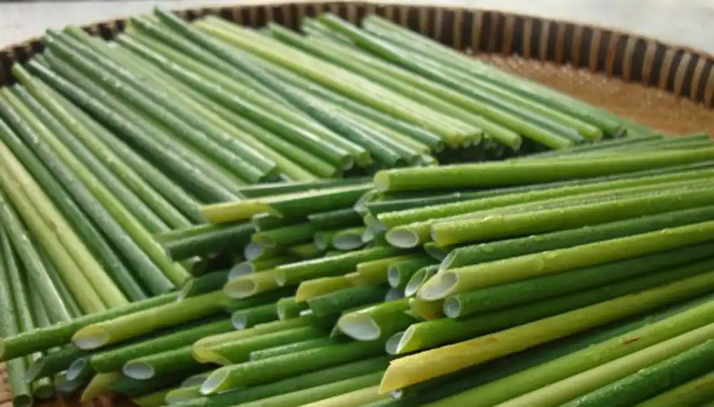 Sorbetes vegetales, contra la contaminación por plásticos
