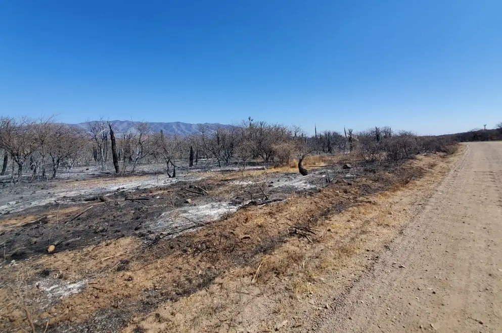 En la zona hubo una evacuación preventiva.
