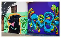 Pintada para los vecinos de Villa Italia