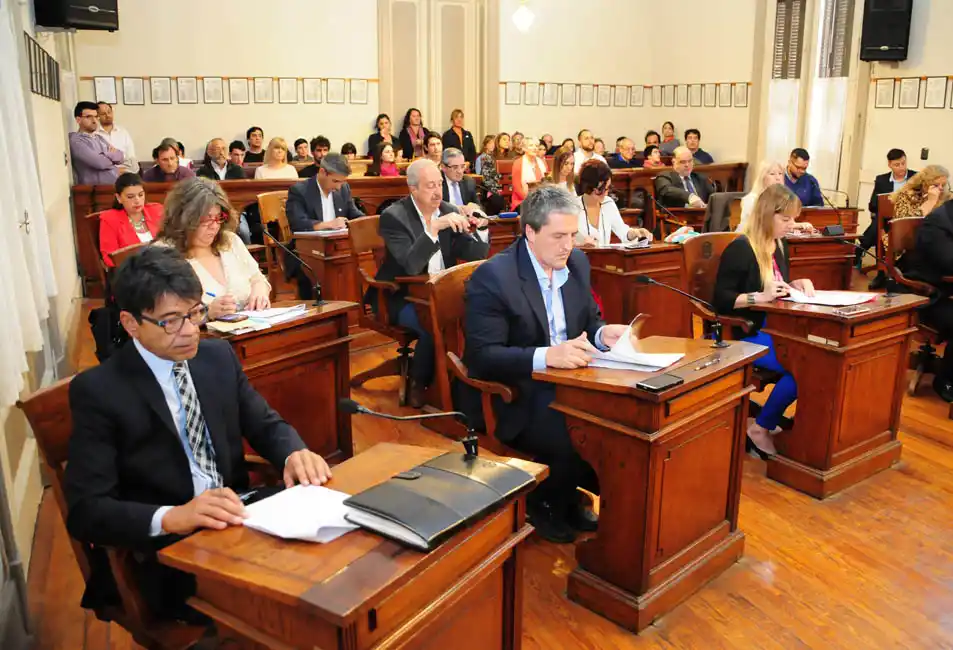 El Concejo aprobó por unanimidad el boleto combinado 