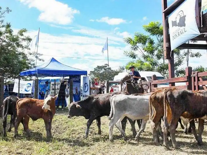 En junio se preparan tres remates ganaderos
en distintos puntos de la provincia de Formosa