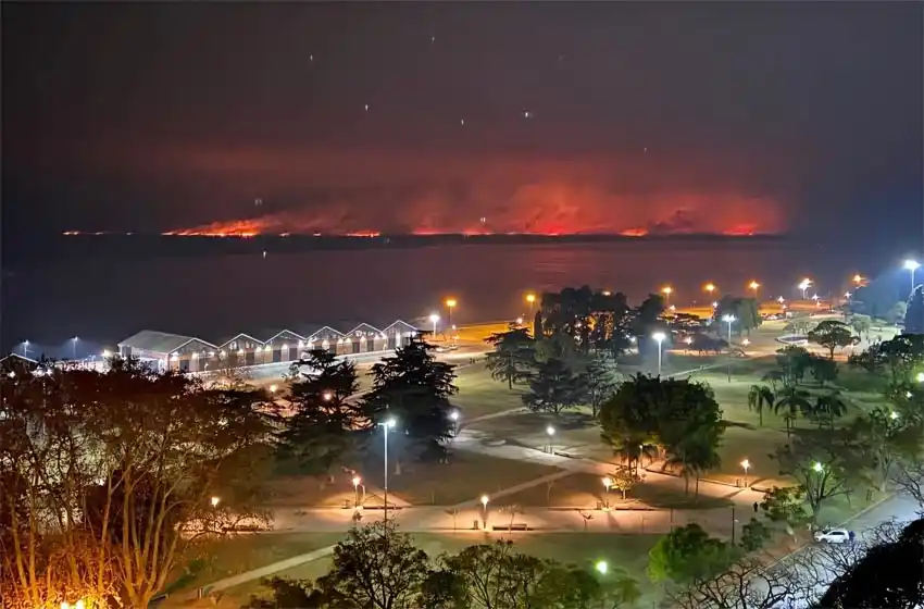 Quemas en las islas: el gobierno de Entre Ríos desmintió los dichos de Javkin