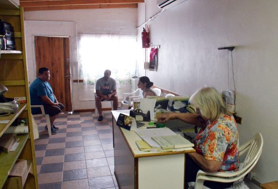 Con la pandemia, la cantidad de perros callejeros aumentó 