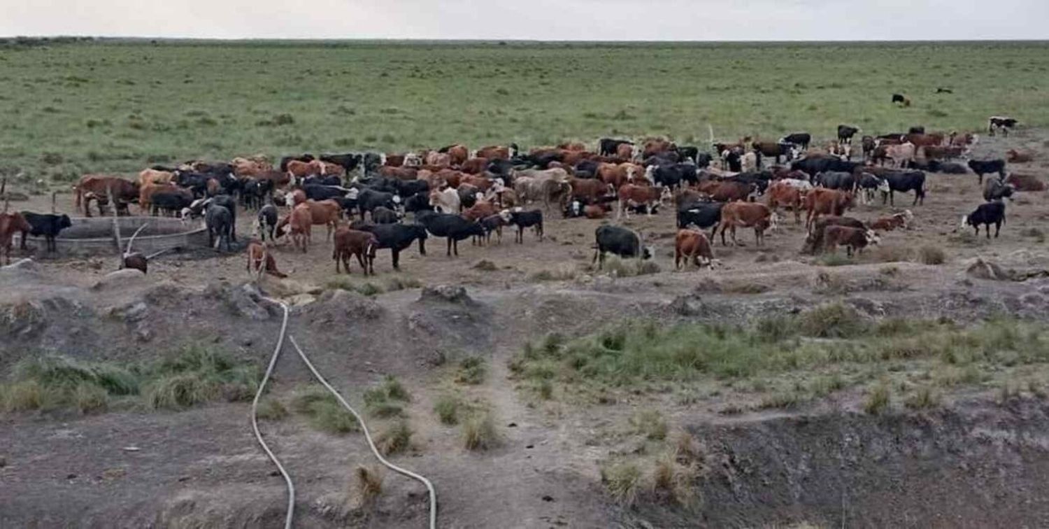 La informalidad y el abandono agravan la sequía, que sigue pegando en el norte santafesino