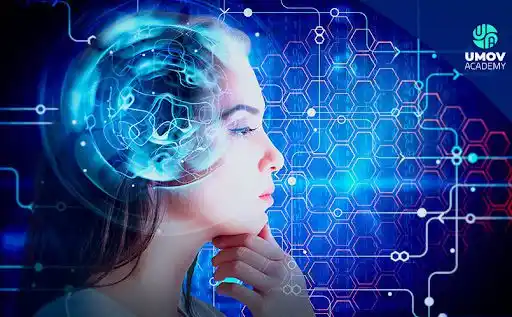 Este es el superalimento ideal para reforzar la memoria