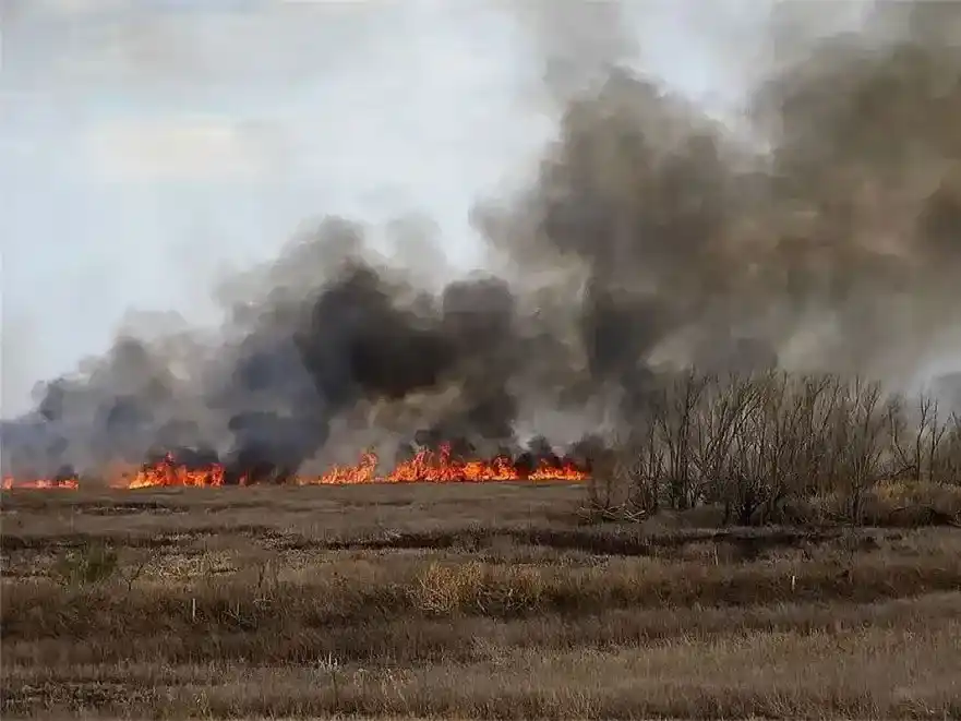 Condenaron a tres apicultores que generaron un incendio en la zona de islas de Victoria