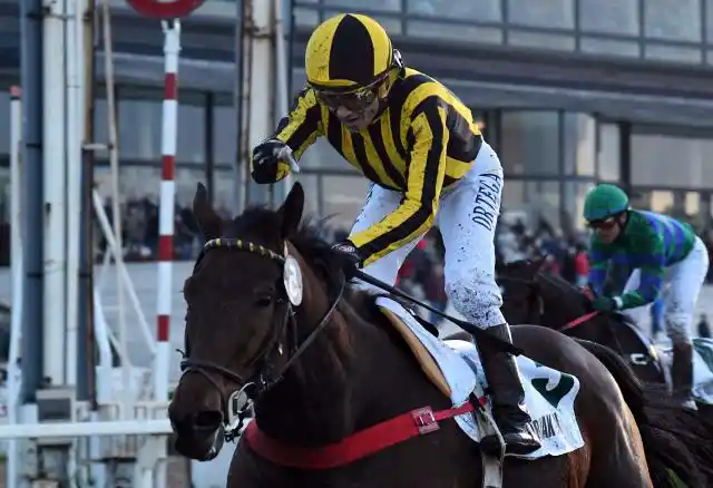 Ordak Dan, ese caballo adorable que sigue brillando