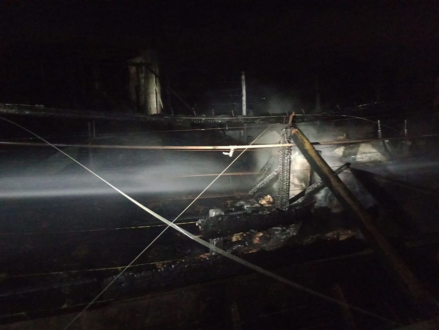 incendio cerdos - 2