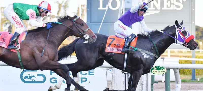 Miércoles 17: Actividad Hipódromo de San Isidro
