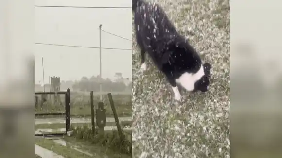 La nieve en El Marquesado sorprendió a los vecinos