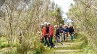 Se abrió el Registro de Guías de Turismo en Tandil: los requisitos para sumarse