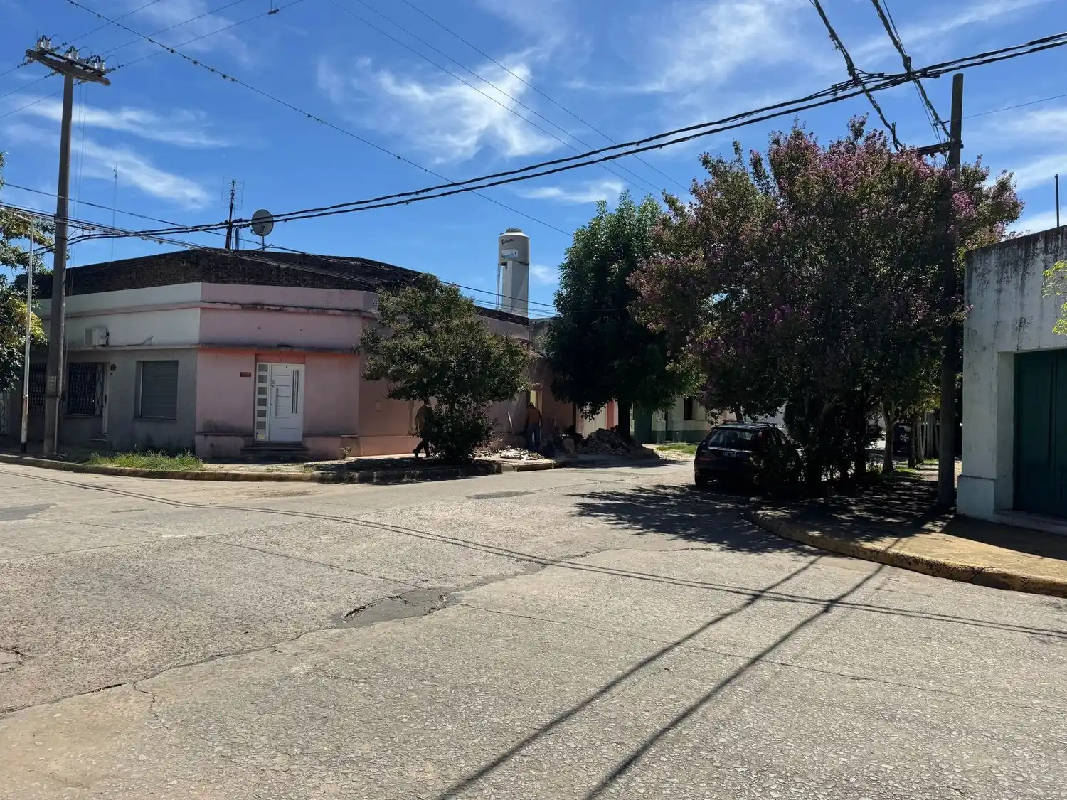 Un auto atropelló a una perra en Oliveira Cézar y Almafuerte.