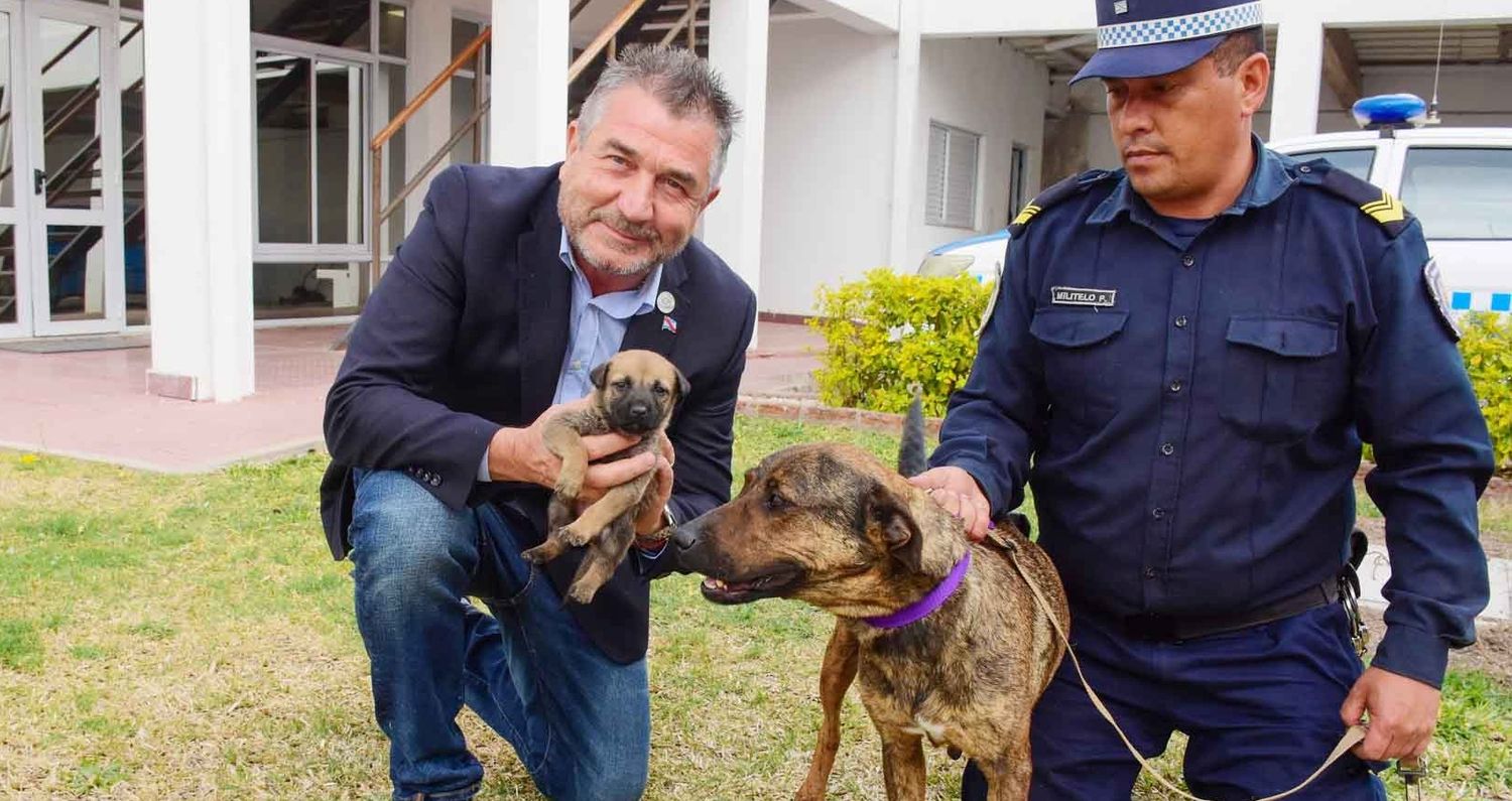 Incorporaron nuevos cachorros a la Policía de Entre Ríos