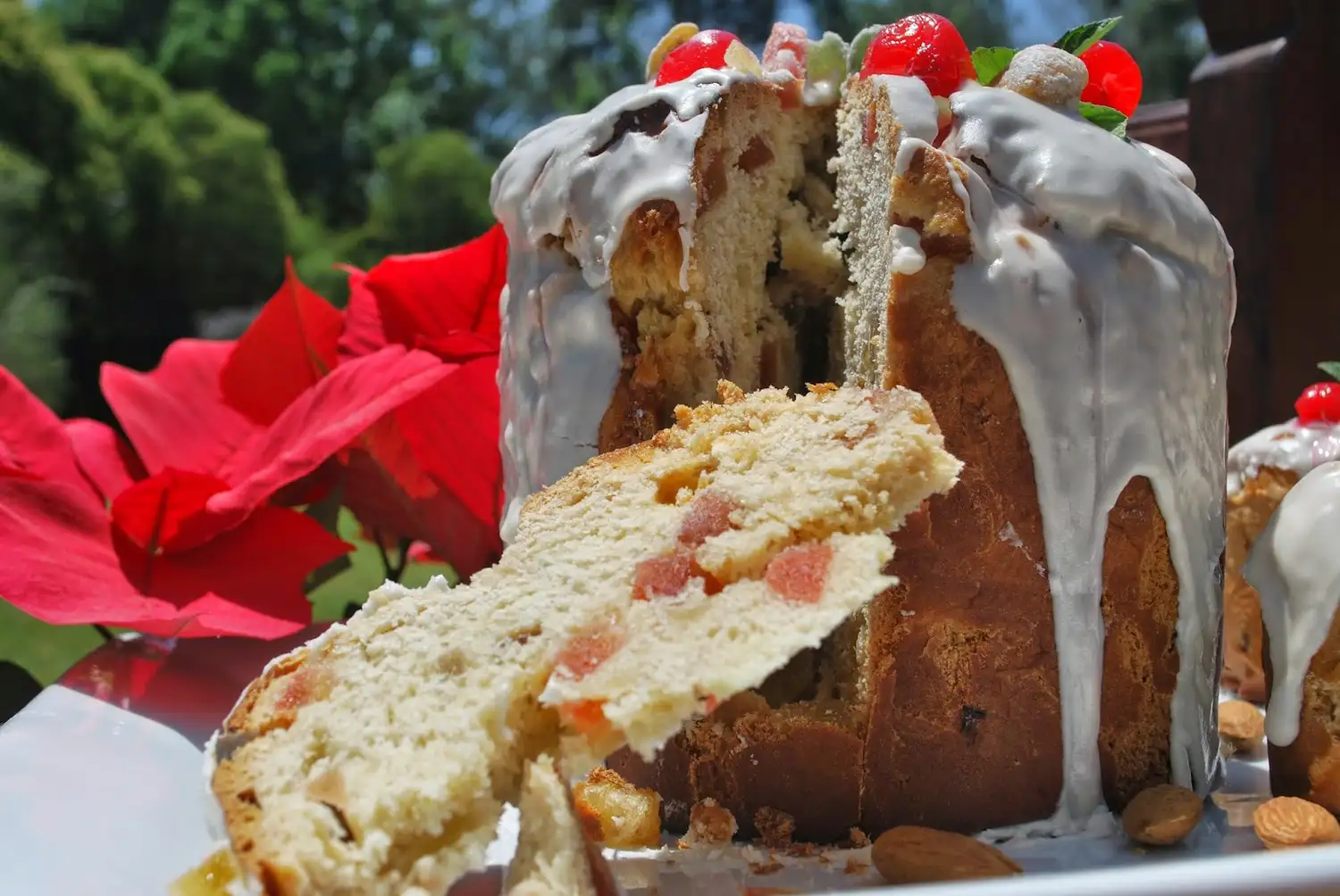 Pan dulce Navideño