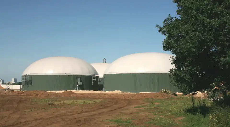 ProBiogás: Olavarría y Tapalqué podrán generar electricidad a partir de residuos