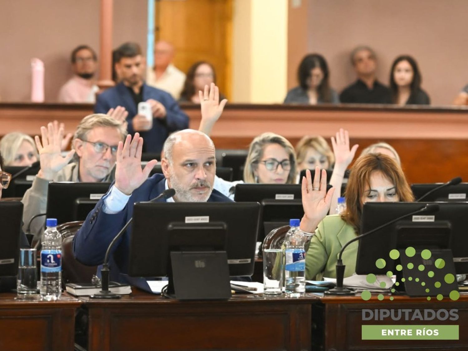 Diputados reclamó la actualización de fondos de Salto Grande para Concordia